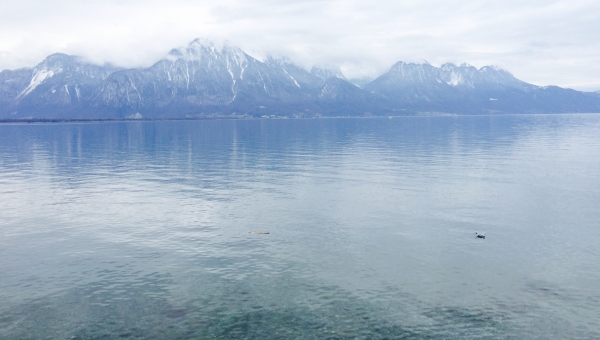 Le Léman gagne sa lutte contre le phosphore, mais de nouveaux défis émergent